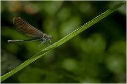 _juy0120_reduc